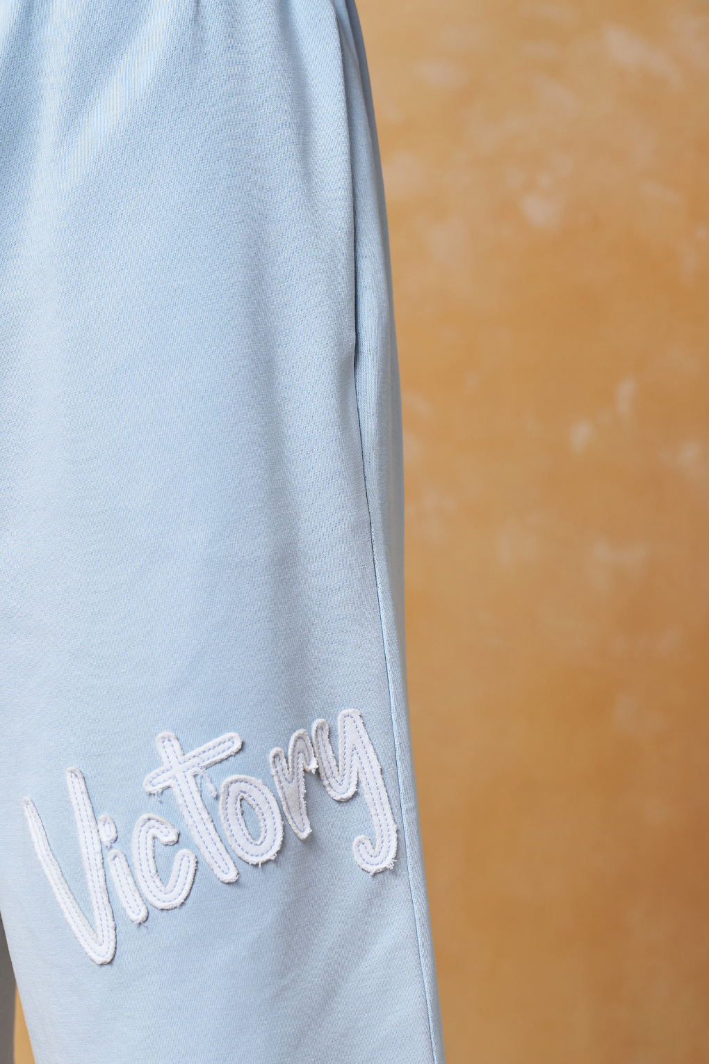 Retro Victory Shorts