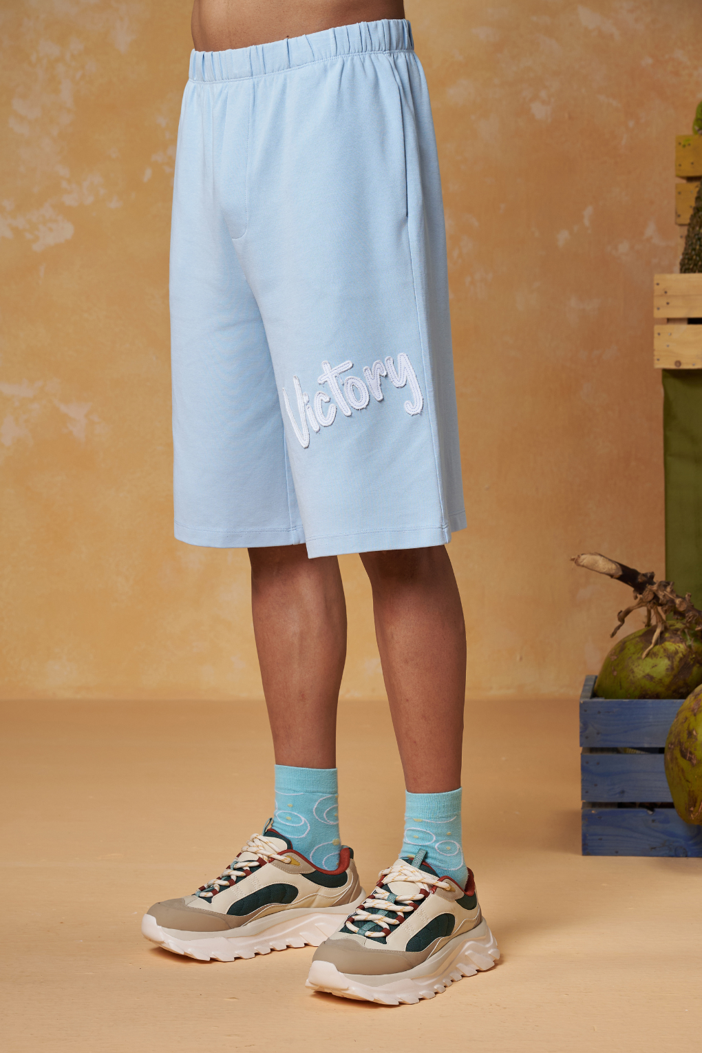 Retro Victory Shorts
