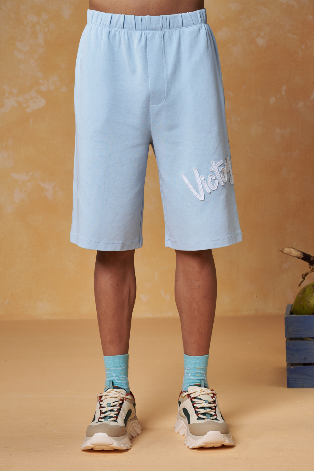 Retro Victory Shorts